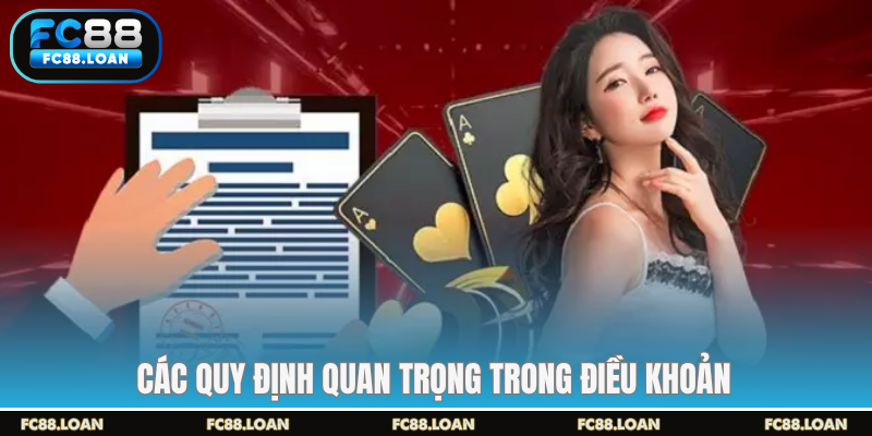 Các quy định quan trọng trong điều khoản