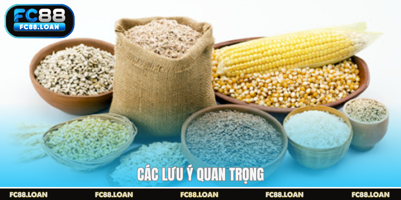 Các lưu ý quan trọng khi chọn thức ăn cho gà đá